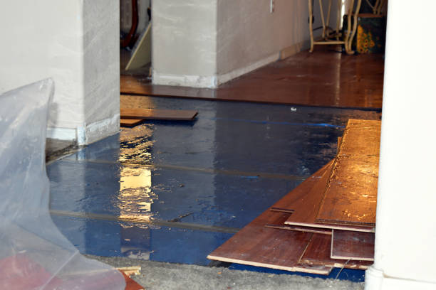 Professional Burst Pipe Cleanup technician working in Tarlton, OH