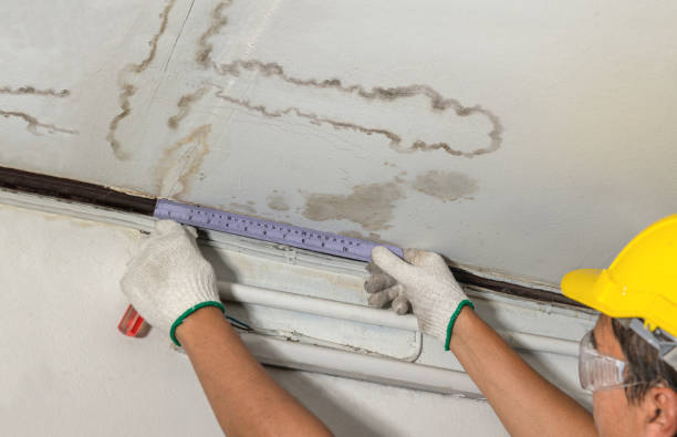 Reliable Burst Pipe Cleanup contractor in Tarlton, OH by Water Damage Irwin
